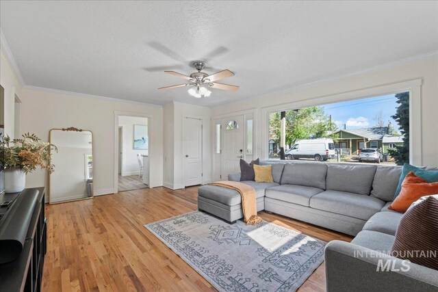 living area featuring baseboards, ceiling fan, ornamental molding, and light wood-style flooring