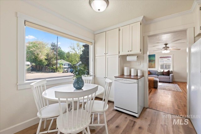 kitchen featuring crown molding, white cabinets, and a wealth of natural light