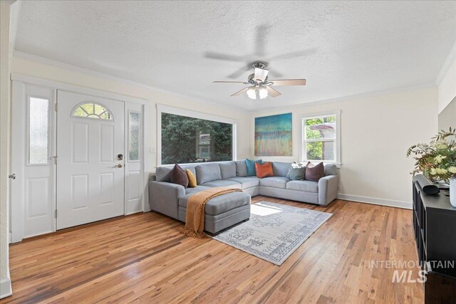 living room featuring crown molding, light wood-style floors, a ceiling fan, and a textured ceiling