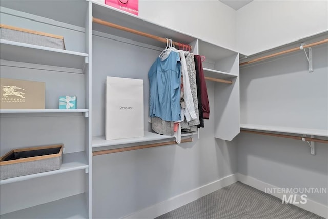 3090 NW 13th St, Meridian, ID 83646 - view of walk in closet