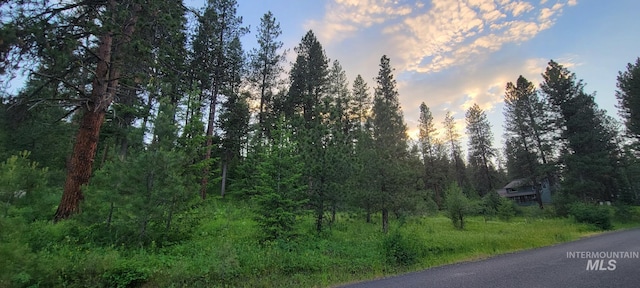 LOT7B19 Columbine, New Meadows ID, 83654 land for sale