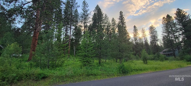 Listing photo 3 for LOT7B19 Columbine, New Meadows ID 83654