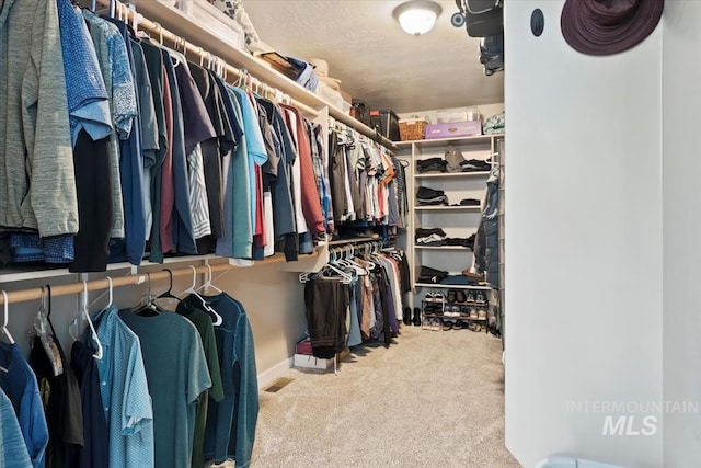 12131 W Precept Ln, Kuna, ID 83634 - walk in closet featuring carpet floors