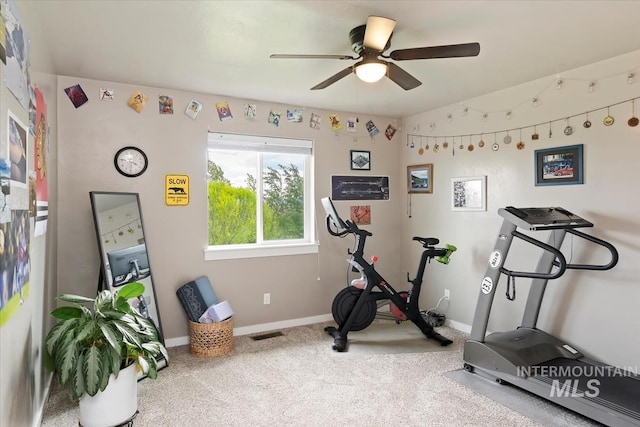 12131 W Precept Ln, Kuna, ID 83634 - workout area with ceiling fan, baseboards, and carpet floors