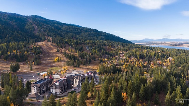 birds eye view of property with a mountain view