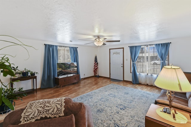 living room featuring ceiling fan, hardwood / wood-style floors, and a textured ceiling