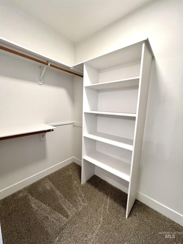 walk in closet featuring dark carpet