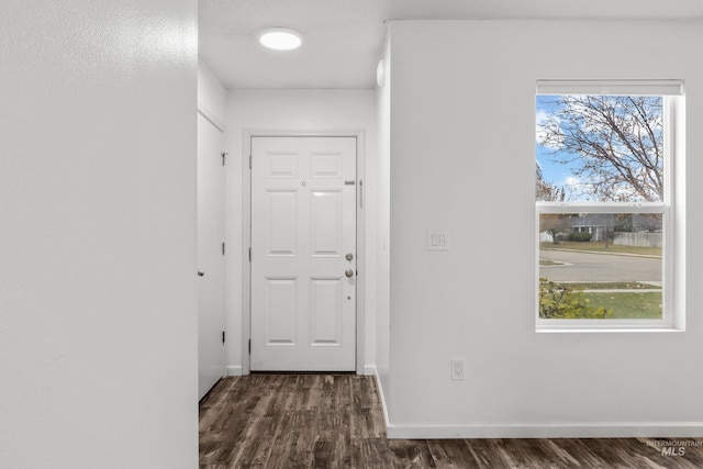 doorway with dark wood-type flooring