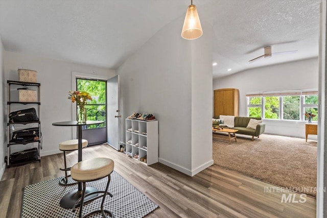 interior space with wood-type flooring, vaulted ceiling, and a textured ceiling