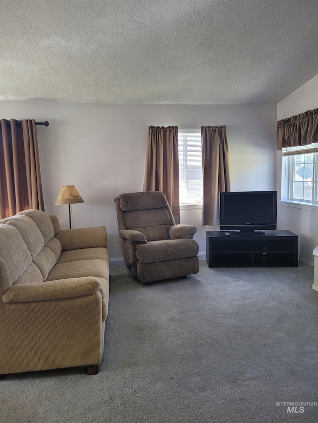 carpeted living room with a textured ceiling and a healthy amount of sunlight