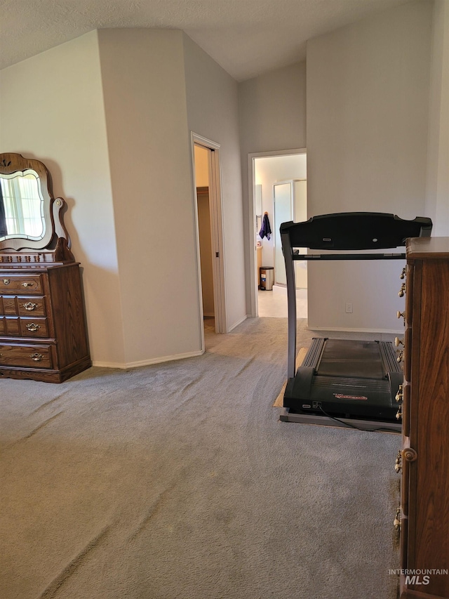 exercise room featuring a textured ceiling and light colored carpet