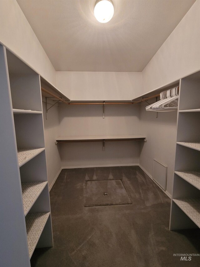 walk in closet featuring dark colored carpet