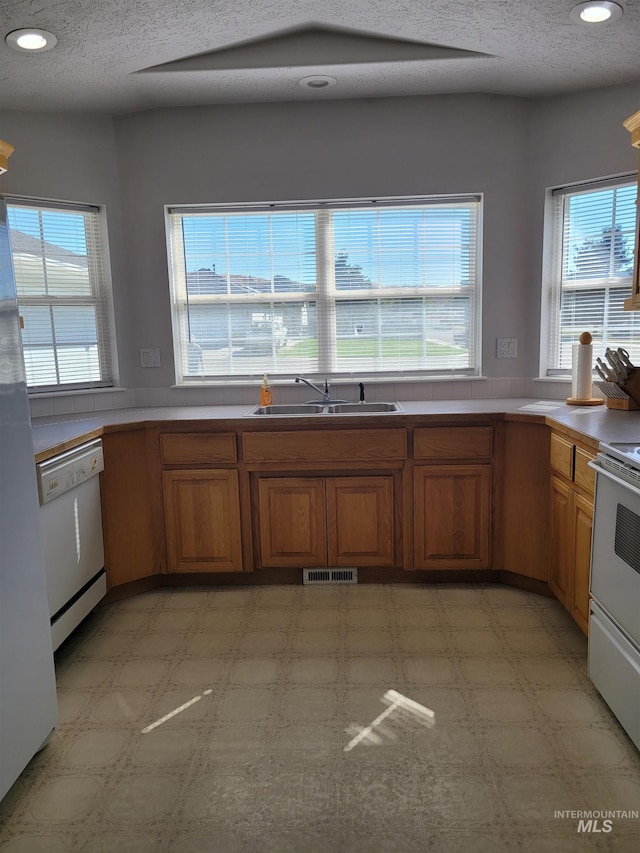 kitchen with range, sink, white dishwasher, and plenty of natural light