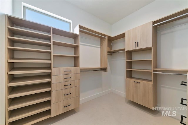 walk in closet with light colored carpet