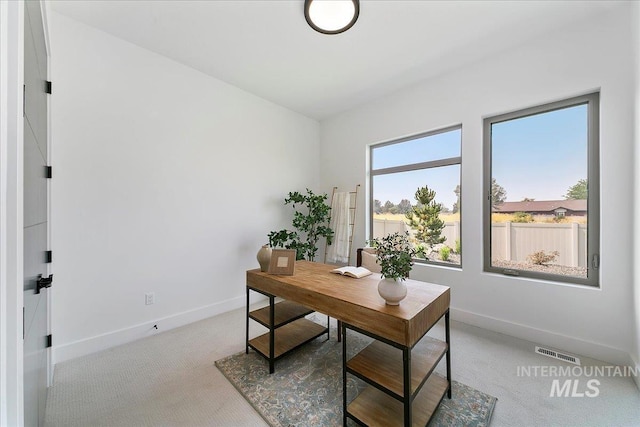 office space featuring light carpet