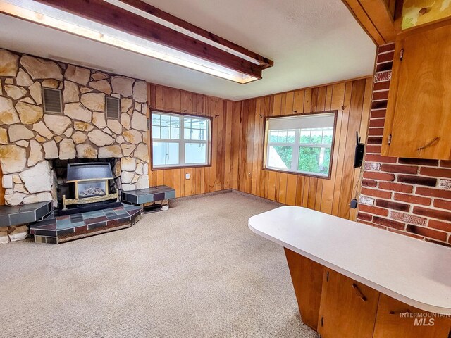 living room featuring wood walls, a wood stove, carpet, and a fireplace