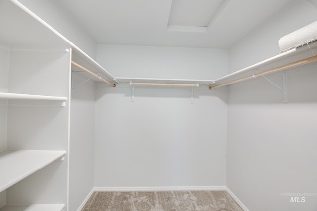 spacious closet with attic access and carpet flooring