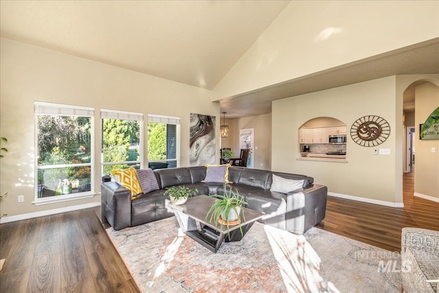 living room featuring high vaulted ceiling and dark wood-type flooring