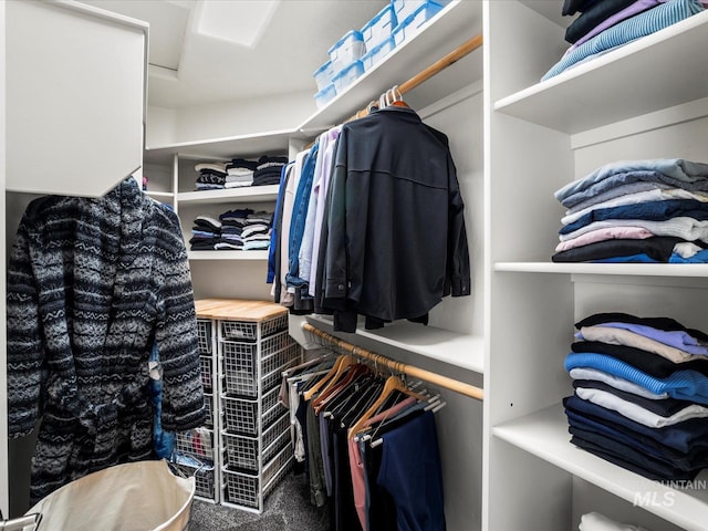 2510 N 24th St, Boise, ID 83702 - spacious closet with carpet