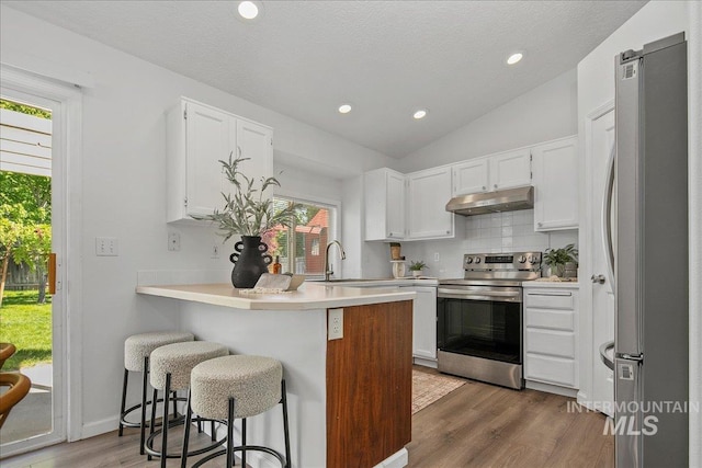 5692 S Flax Pl, Boise, ID 83716 - kitchen featuring appliances with stainless steel finishes, under cabinet range hood, a peninsula, a sink, and white cabinets