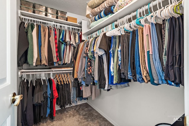 walk in closet with carpet flooring