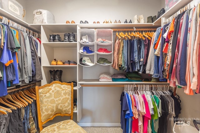 spacious closet featuring carpet floors