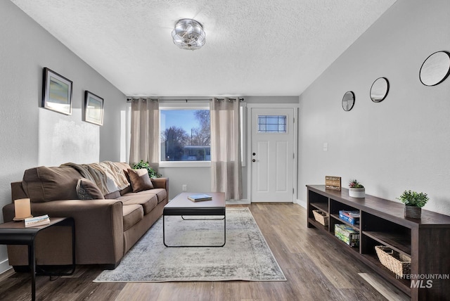 living room featuring hardwood / wood-style floors and a textured ceiling