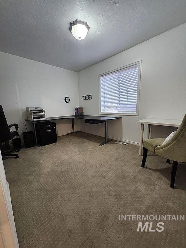 297 N 4228 E, Rigby, ID 83442 - carpeted office space featuring a textured ceiling