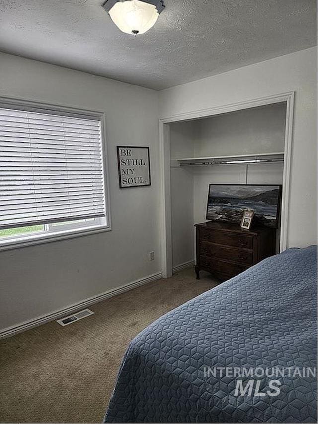 297 N 4228 E, Rigby, ID 83442 - carpeted bedroom with a closet and a textured ceiling