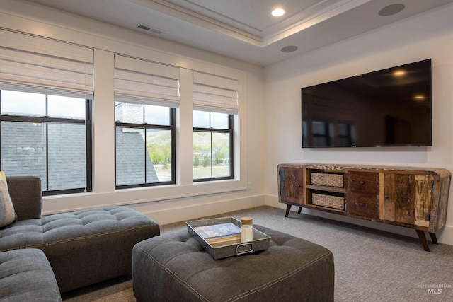 carpeted living room with a raised ceiling