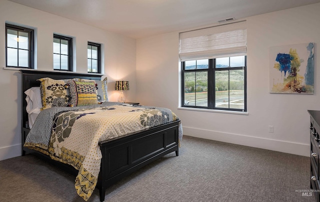 bedroom with carpet flooring