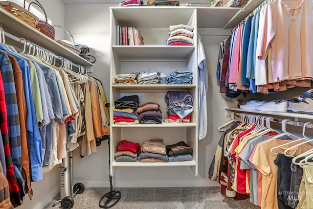 spacious closet featuring carpet floors