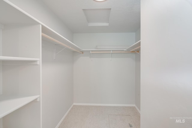 walk in closet featuring light colored carpet