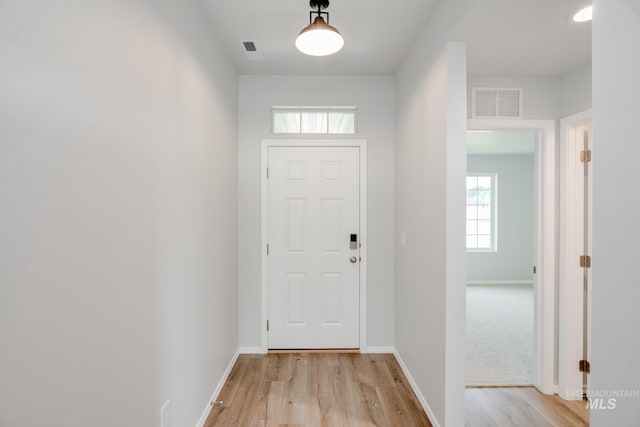 doorway featuring light hardwood / wood-style flooring and a healthy amount of sunlight