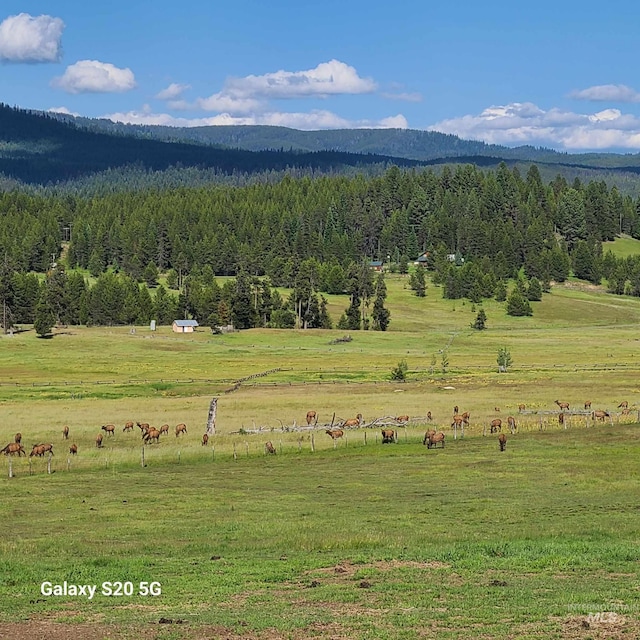 1050 Maxwell Ln, Elk City, ID 83525 - view of mountain backdrop featuring rural landscape, a forest, and a pastoral area
