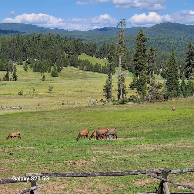 1050 Maxwell Ln, Elk City, ID 83525 - view of yard with a view of rural / pastoral area and a wooden deck