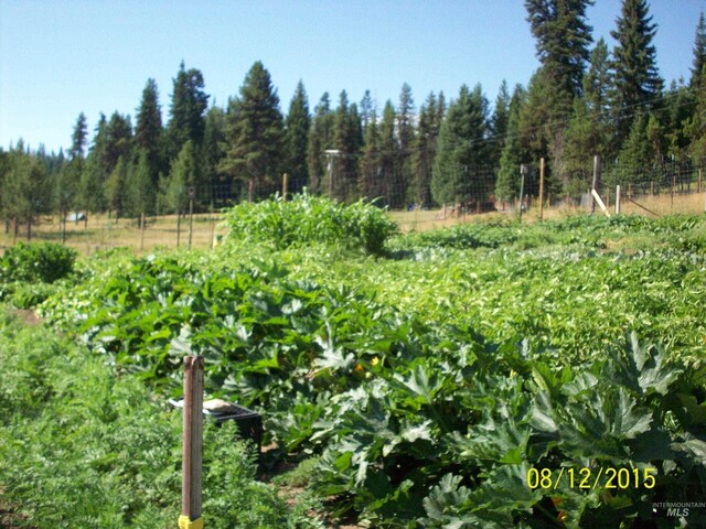1050 Maxwell Ln, Elk City, ID 83525 - wooden terrace with a forest view