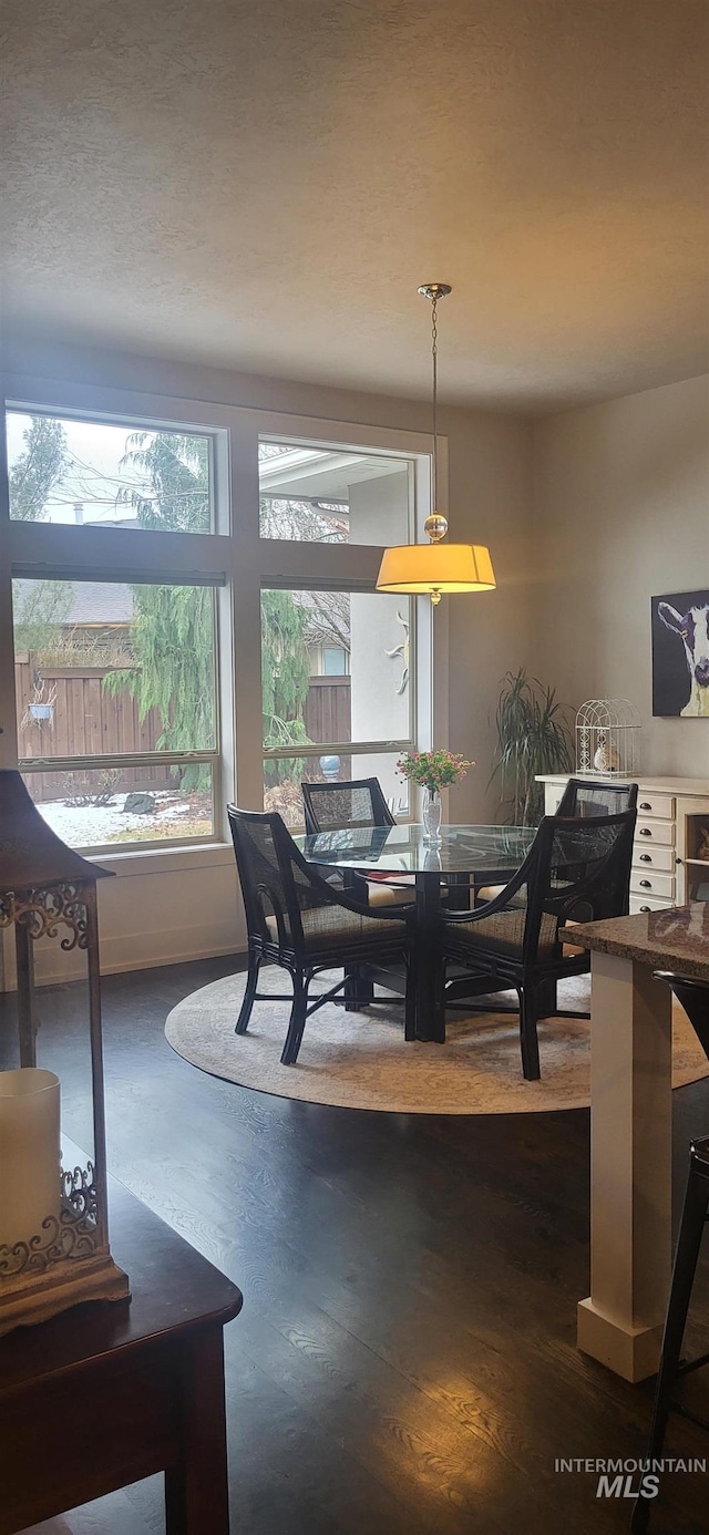 dining area with dark wood-type flooring