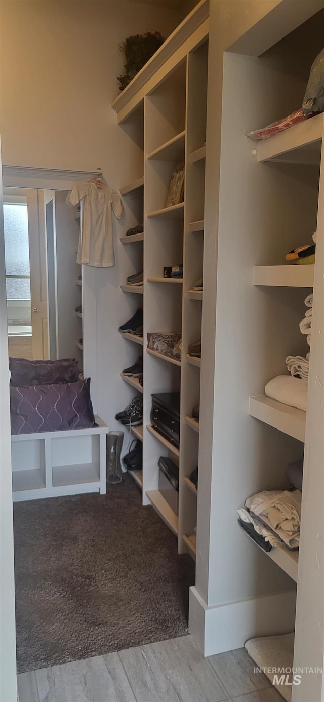 walk in closet with wood-type flooring