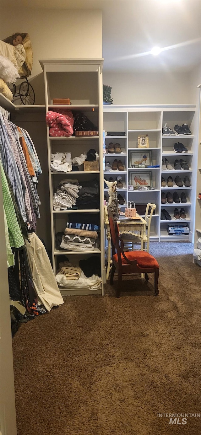 walk in closet featuring carpet