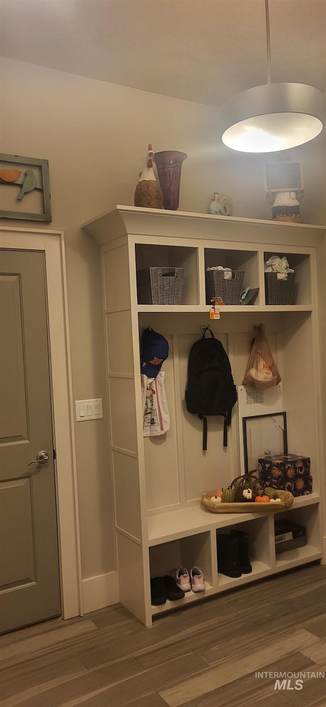 mudroom featuring dark hardwood / wood-style floors