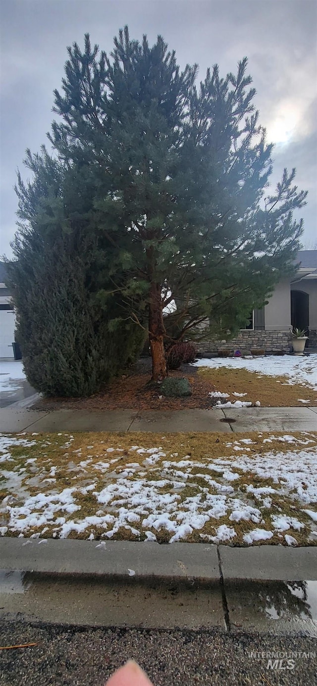 view of yard layered in snow