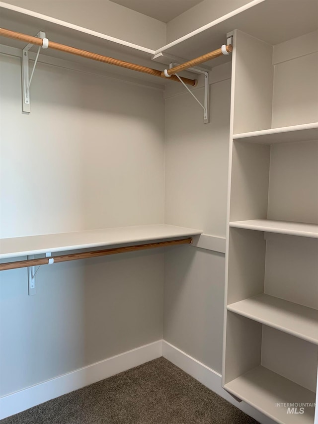 spacious closet with carpet flooring