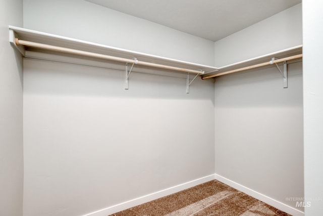 spacious closet featuring carpet floors