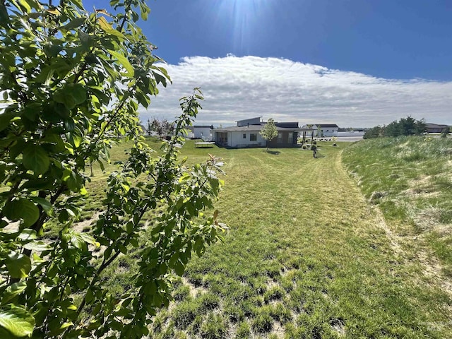 view of green lawn