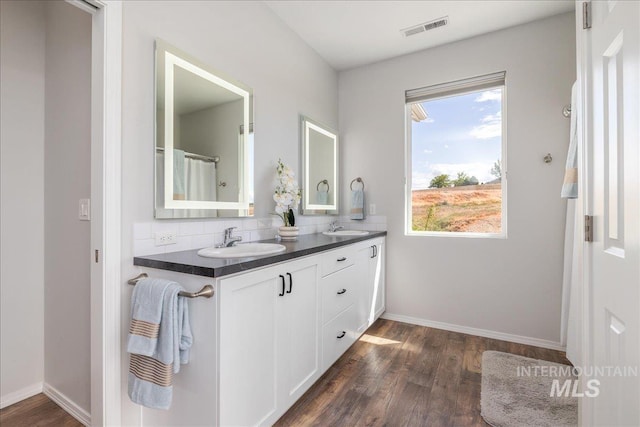 9805 Salmon Ridge Pl, Nampa, ID 83686 - bathroom featuring double vanity, wood finished floors, decorative backsplash, and baseboards