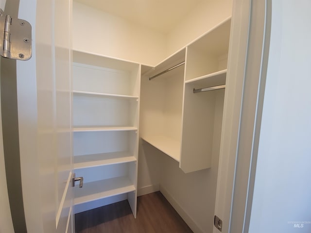 walk in closet with dark wood finished floors