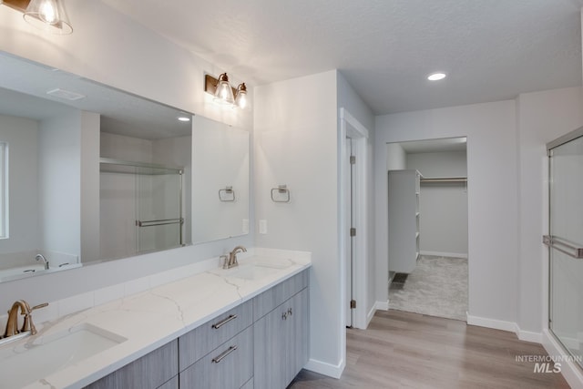 bathroom featuring double vanity, a spacious closet, baseboards, and a sink