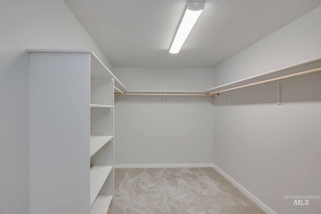 spacious closet featuring light carpet