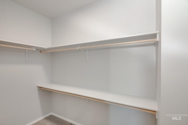 spacious closet with carpet flooring